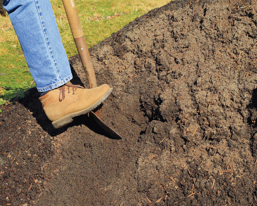digging in backyard
